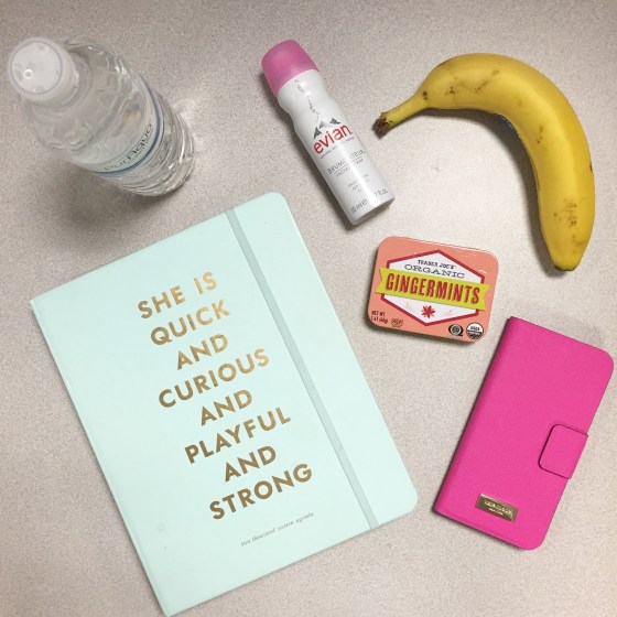 kate spade quick and curious agenda